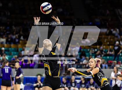 Thumbnail 3 in Prairie vs. Evangel Christian Academy (CHSAA 1A First Round) photogallery.