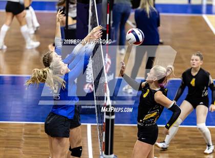 Thumbnail 3 in Prairie vs. Evangel Christian Academy (CHSAA 1A First Round) photogallery.