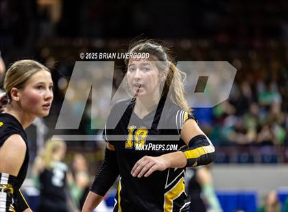 Thumbnail 3 in Prairie vs. Evangel Christian Academy (CHSAA 1A First Round) photogallery.