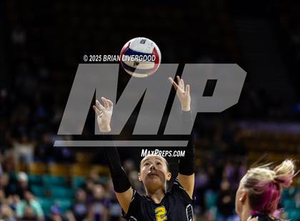 Thumbnail 3 in Prairie vs. Evangel Christian Academy (CHSAA 1A First Round) photogallery.