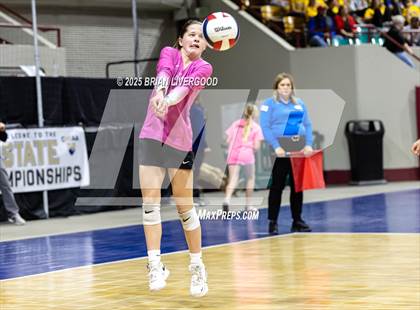 Thumbnail 2 in Prairie vs. Evangel Christian Academy (CHSAA 1A First Round) photogallery.