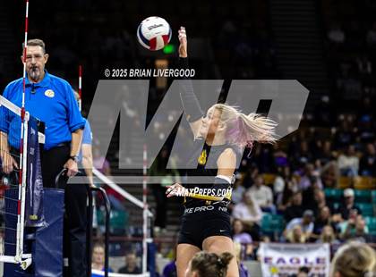 Thumbnail 2 in Prairie vs. Evangel Christian Academy (CHSAA 1A First Round) photogallery.