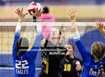 Thumbnail 1 in Prairie vs. Evangel Christian Academy (CHSAA 1A First Round) photogallery.