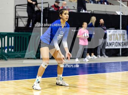 Thumbnail 2 in Prairie vs. Evangel Christian Academy (CHSAA 1A First Round) photogallery.