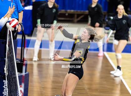 Thumbnail 3 in Prairie vs. Evangel Christian Academy (CHSAA 1A First Round) photogallery.