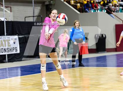 Thumbnail 3 in Prairie vs. Evangel Christian Academy (CHSAA 1A First Round) photogallery.