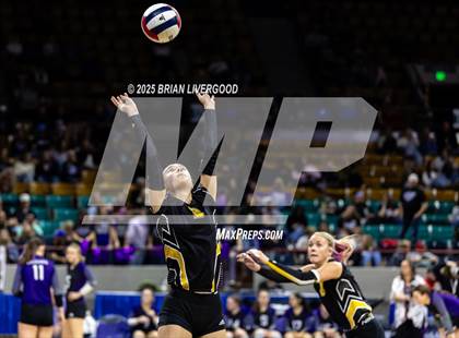 Thumbnail 1 in Prairie vs. Evangel Christian Academy (CHSAA 1A First Round) photogallery.