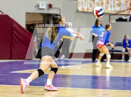 Thumbnail 1 in Prairie vs. Evangel Christian Academy (CHSAA 1A First Round) photogallery.