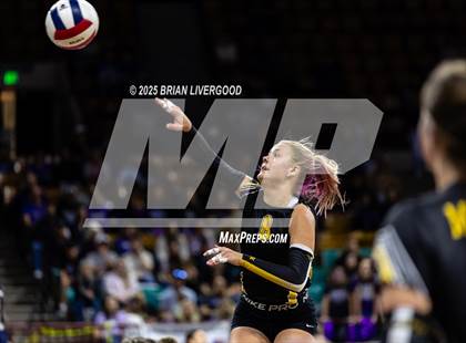 Thumbnail 1 in Prairie vs. Evangel Christian Academy (CHSAA 1A First Round) photogallery.