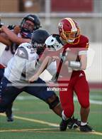 Photo from the gallery "American @ Berkeley"