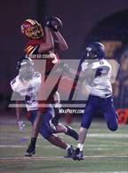 Photo from the gallery "American @ Berkeley"