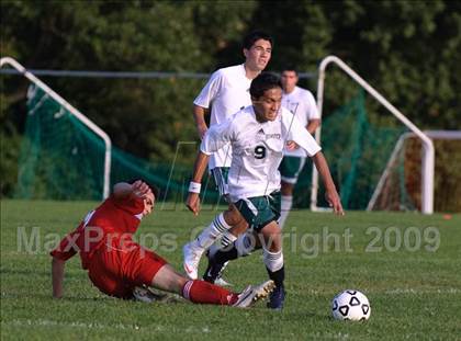 Thumbnail 1 in Fox Lane @ Brewster photogallery.