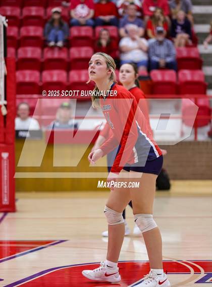 Thumbnail 1 in FR: Merkel @ Jim Ned photogallery.