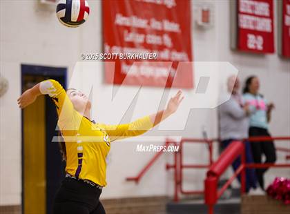 Thumbnail 1 in FR: Merkel @ Jim Ned photogallery.