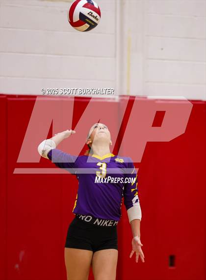 Thumbnail 3 in FR: Merkel @ Jim Ned photogallery.