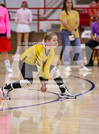 Thumbnail 3 in FR: Merkel @ Jim Ned photogallery.