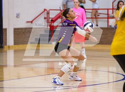 Thumbnail 2 in FR: Merkel @ Jim Ned photogallery.