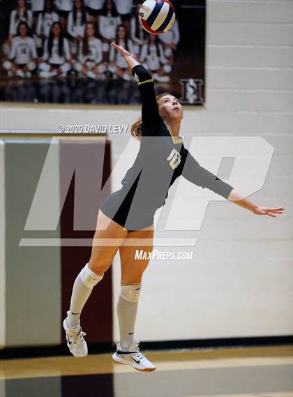 Thumbnail 3 in Basha @ Hamilton photogallery.