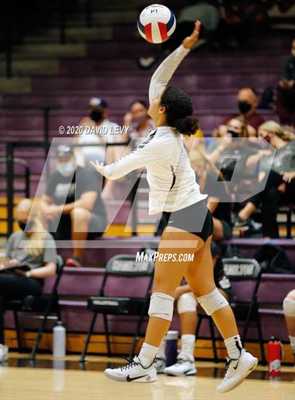 Thumbnail 1 in Basha @ Hamilton photogallery.