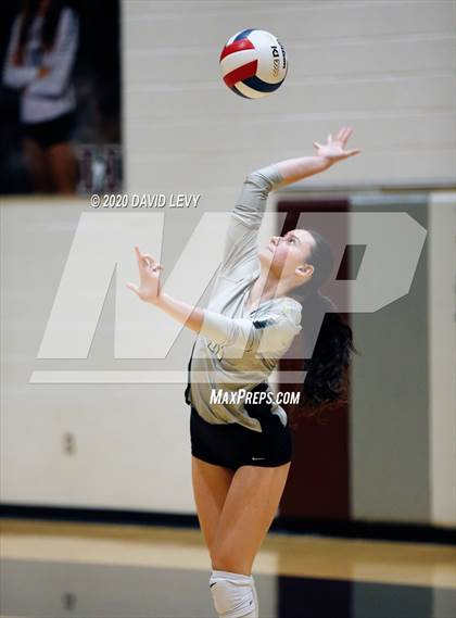 Thumbnail 3 in Basha @ Hamilton photogallery.