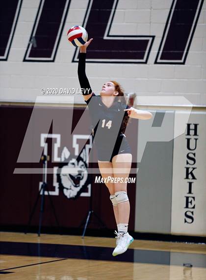 Thumbnail 2 in Basha @ Hamilton photogallery.