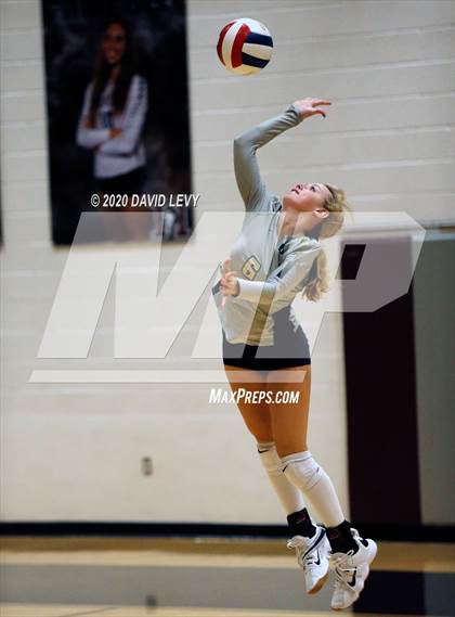 Thumbnail 3 in Basha @ Hamilton photogallery.