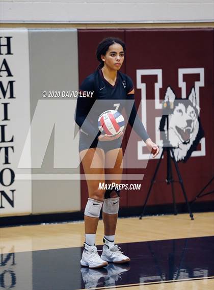 Thumbnail 2 in Basha @ Hamilton photogallery.