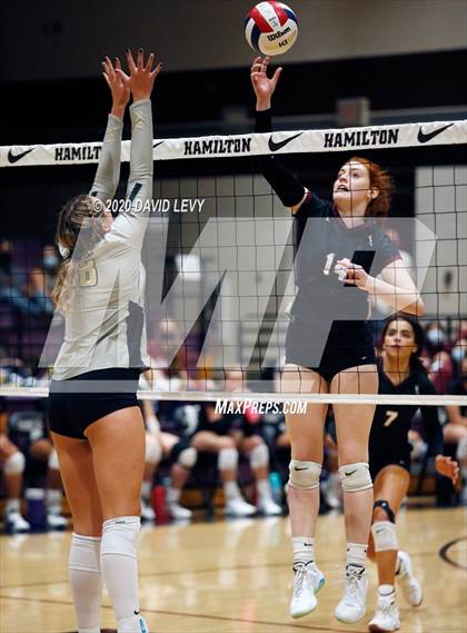 Thumbnail 1 in Basha @ Hamilton photogallery.
