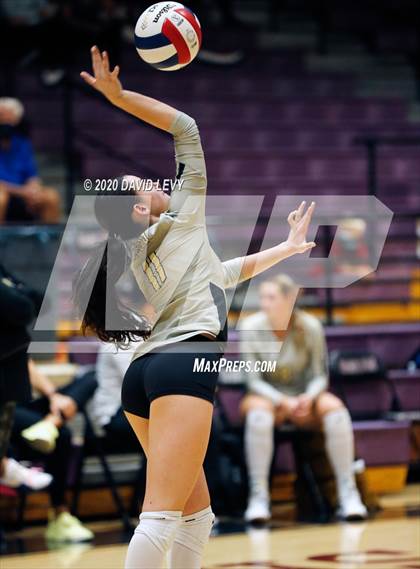 Thumbnail 2 in Basha @ Hamilton photogallery.
