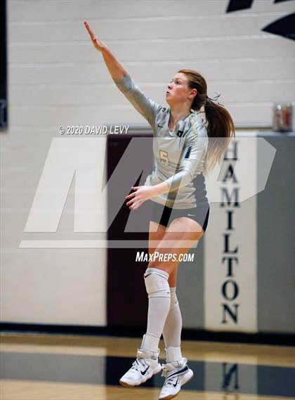 Thumbnail 3 in Basha @ Hamilton photogallery.