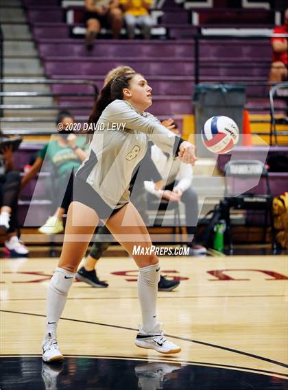 Thumbnail 1 in Basha @ Hamilton photogallery.