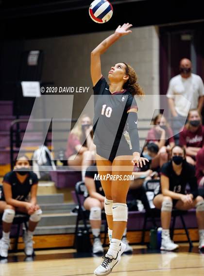 Thumbnail 2 in Basha @ Hamilton photogallery.