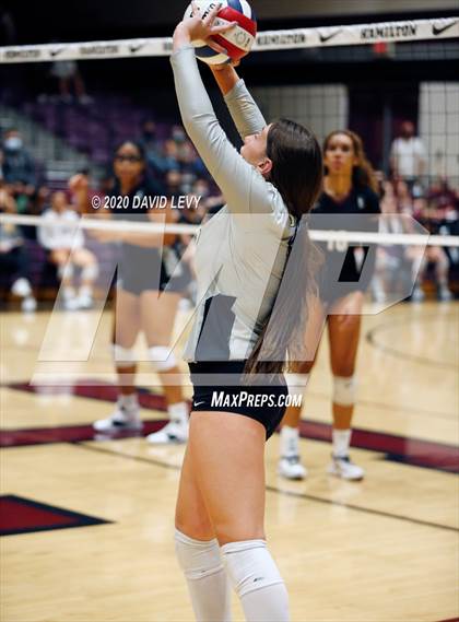 Thumbnail 3 in Basha @ Hamilton photogallery.