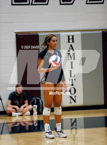 Thumbnail 3 in Basha @ Hamilton photogallery.