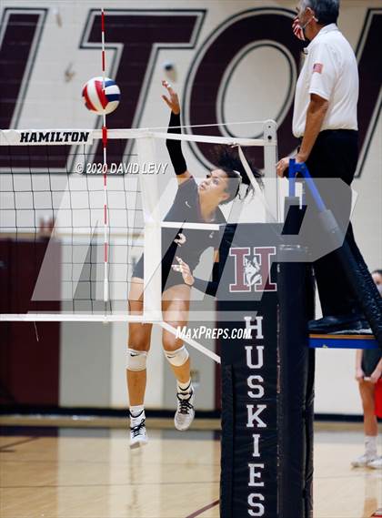 Thumbnail 1 in Basha @ Hamilton photogallery.