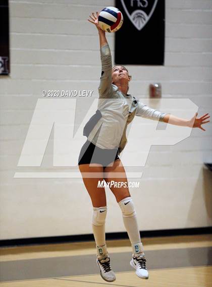 Thumbnail 2 in Basha @ Hamilton photogallery.