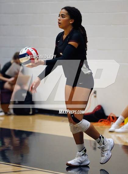 Thumbnail 2 in Basha @ Hamilton photogallery.