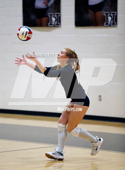 Thumbnail 2 in Basha @ Hamilton photogallery.