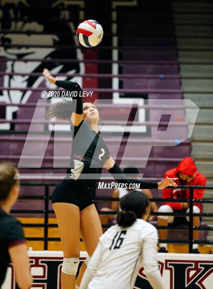 Thumbnail 3 in Basha @ Hamilton photogallery.