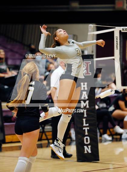 Thumbnail 1 in Basha @ Hamilton photogallery.