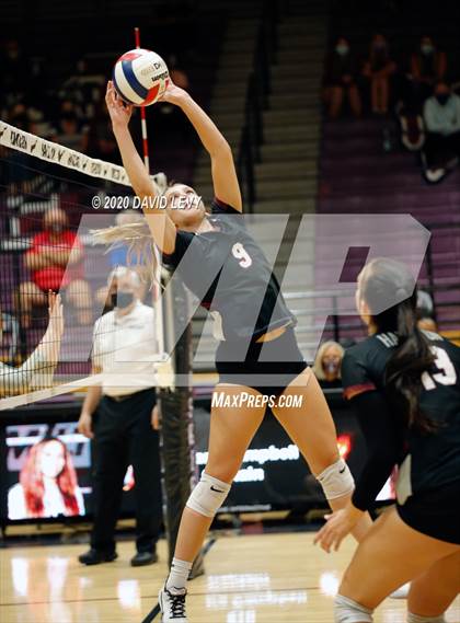 Thumbnail 1 in Basha @ Hamilton photogallery.