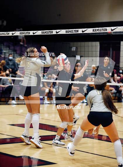 Thumbnail 3 in Basha @ Hamilton photogallery.
