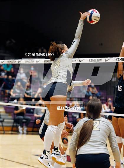 Thumbnail 1 in Basha @ Hamilton photogallery.