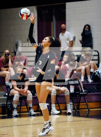 Thumbnail 1 in Basha @ Hamilton photogallery.
