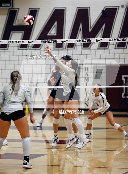 Thumbnail 2 in Basha @ Hamilton photogallery.