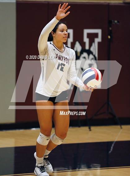 Thumbnail 2 in Basha @ Hamilton photogallery.