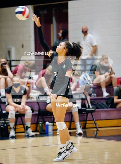Thumbnail 2 in Basha @ Hamilton photogallery.