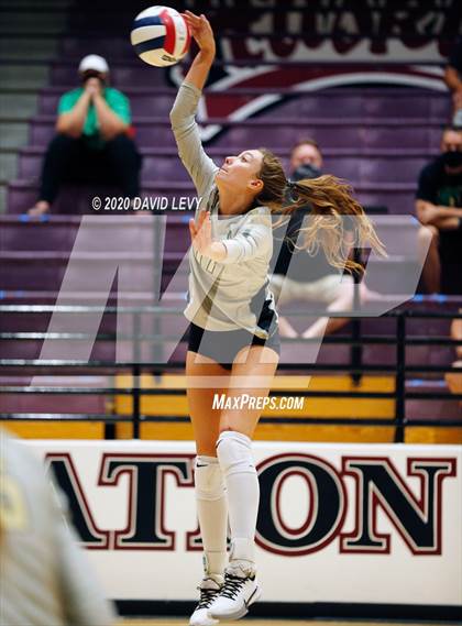 Thumbnail 1 in Basha @ Hamilton photogallery.