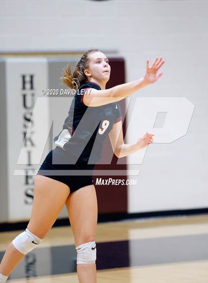 Thumbnail 2 in Basha @ Hamilton photogallery.