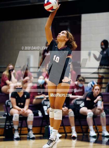 Thumbnail 1 in Basha @ Hamilton photogallery.